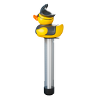 Pirate Duck Pool Thermometer