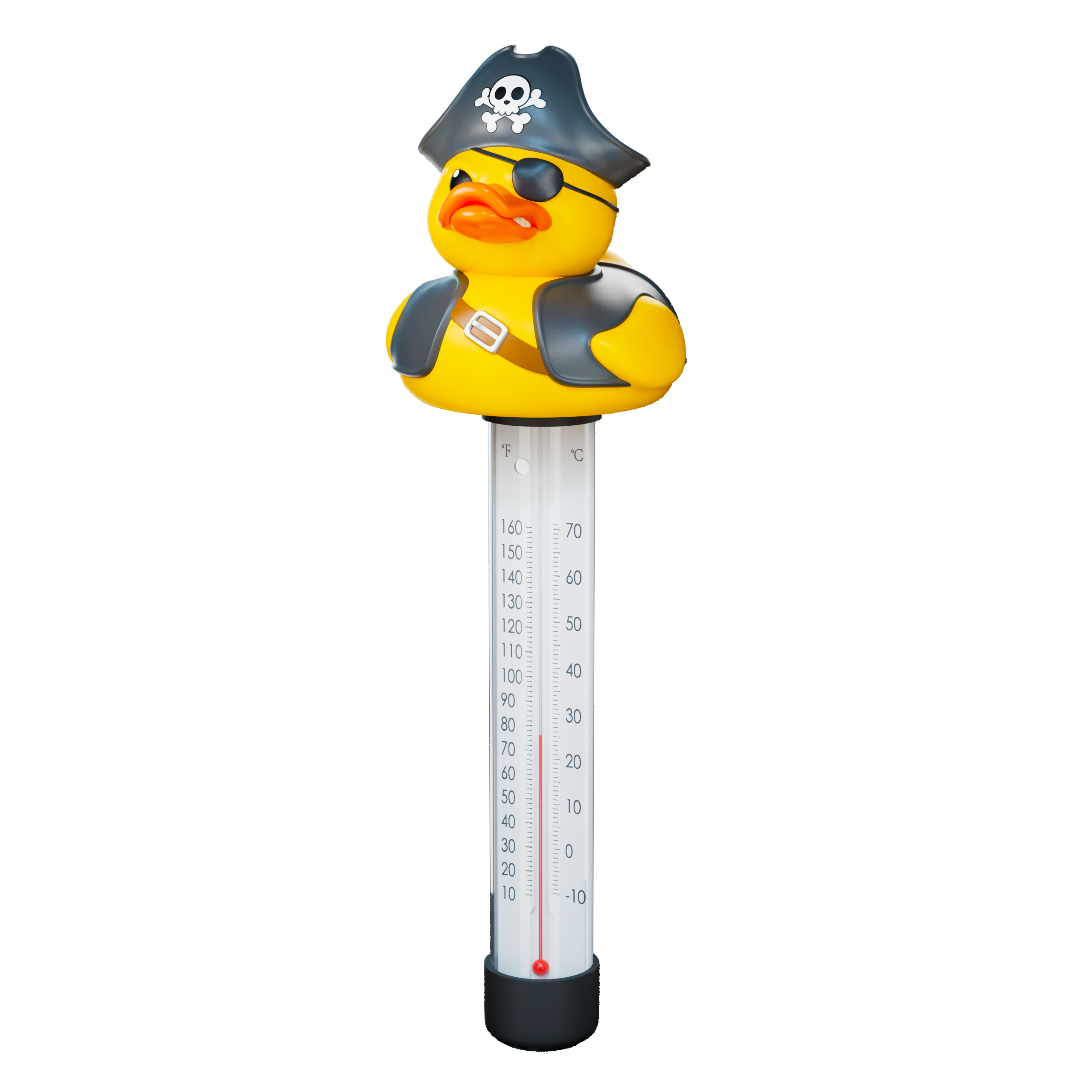 Pool Thermometer